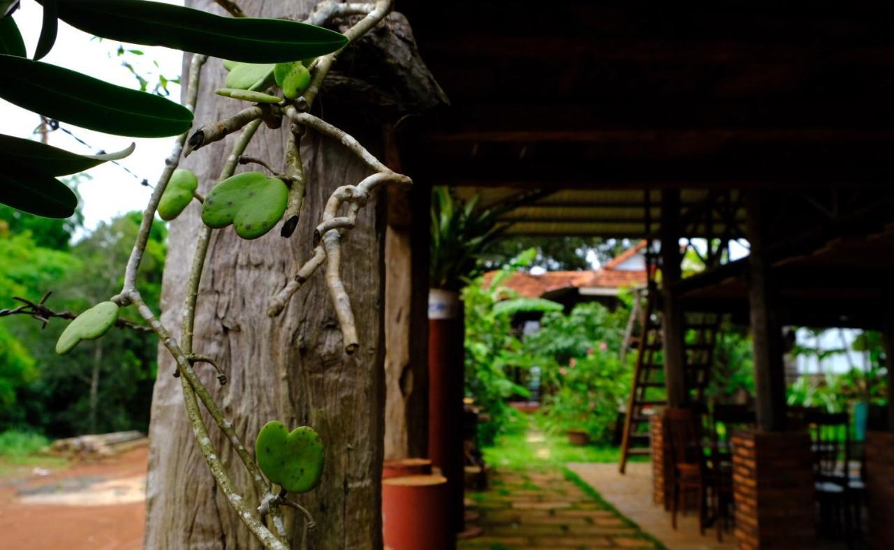 Plei Homestay & Cafe 플레이쿠 외부 사진