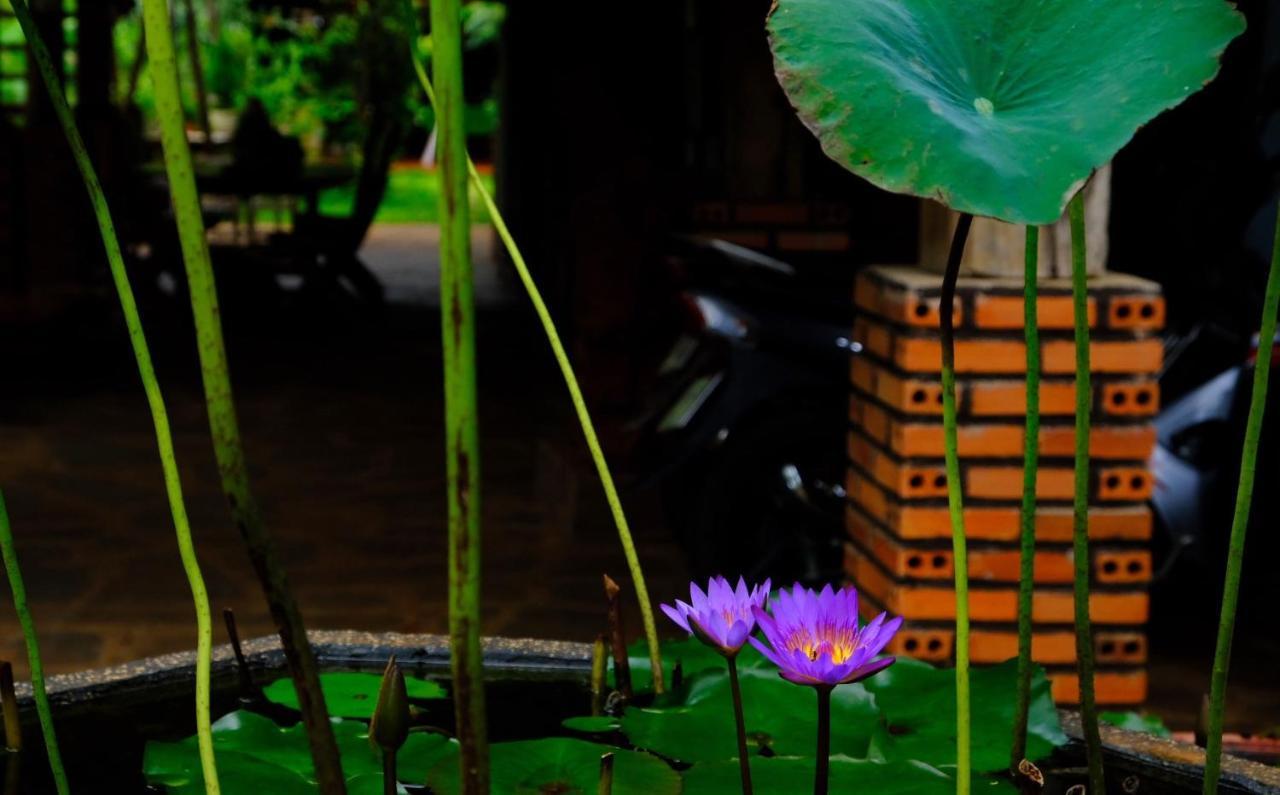 Plei Homestay & Cafe 플레이쿠 외부 사진